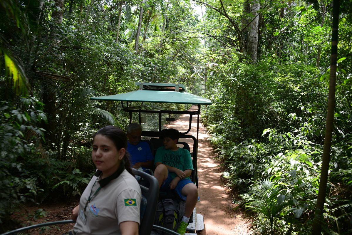 01 The Macuco Safari Starts With A Drive Through The Forest At Brazil Iguazu Falls